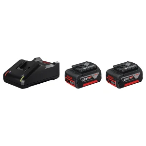 Bosch 1600A019S0 18V Li-Ion Accu Starterset (2x 4.0Ah) + Lader