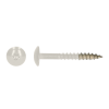 Kleurkopschroef 25mm Ral 9010