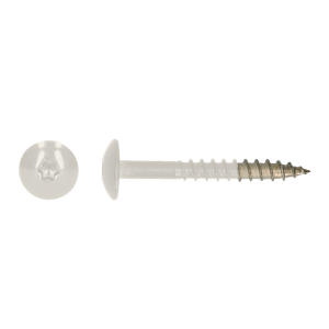 Kleurkopschroef 25mm Ral 9010
